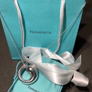 Tiffany & Co Elsa Peretti Large Eternal Circle Pendant with T & Co. 925 Chain